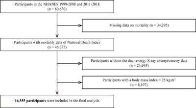 Association between body composition and the risk of mortality in the obese population in the United States